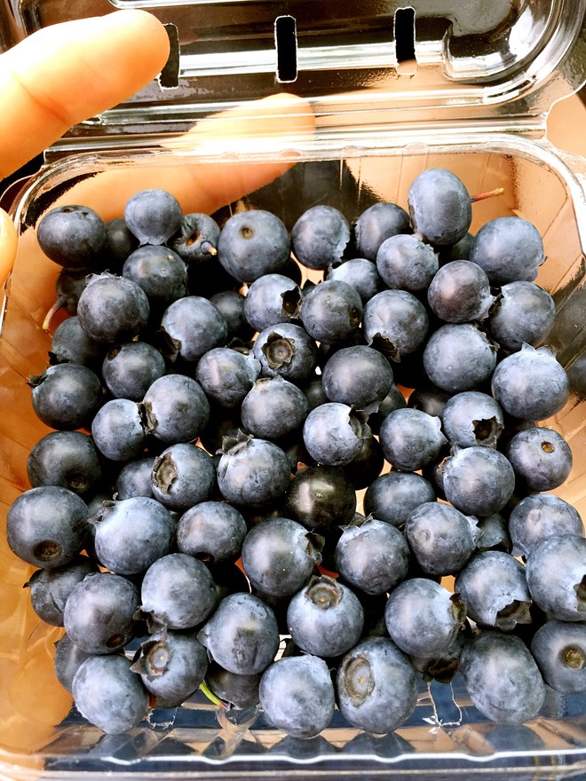 蓝莓