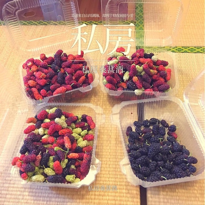私房桑葚酒