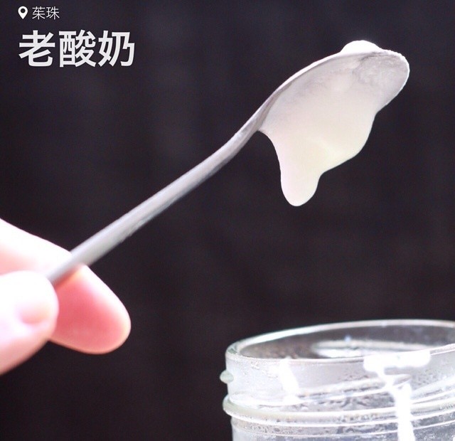 自制老酸奶