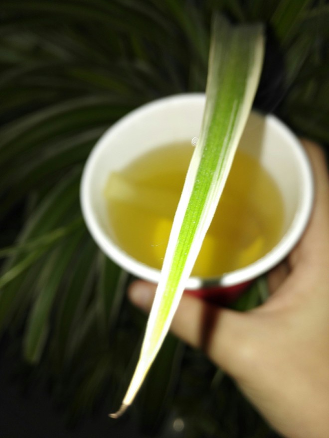 一杯暖暖甘蔗水