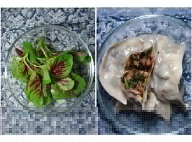 董太的私房菜--苋菜肉饺子