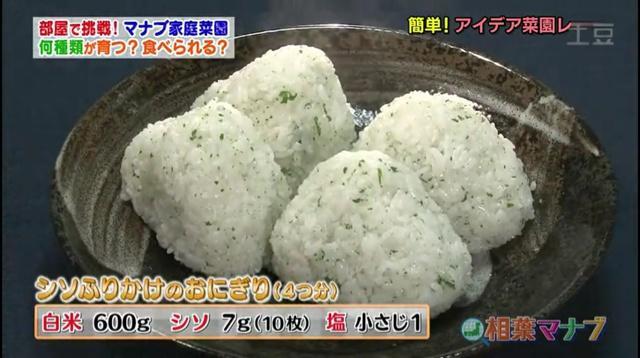 紫苏饭团（相叶学）