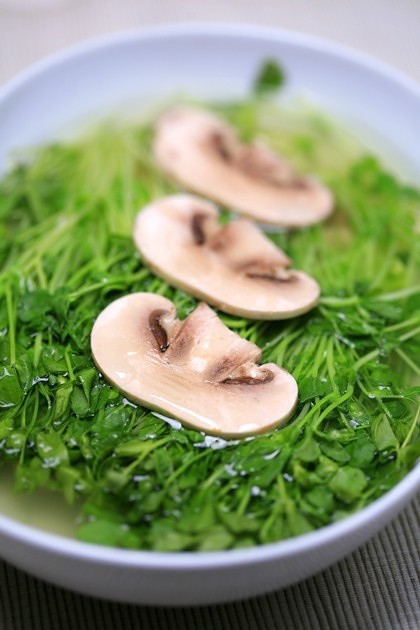 豆苗蘑菇汤