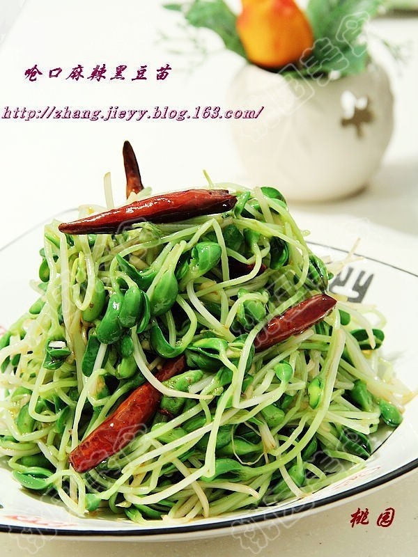 呛口麻辣黑豆苗