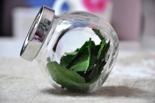 薄荷干