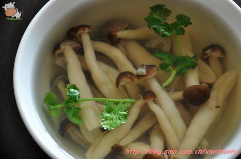 清汤蟹味菇