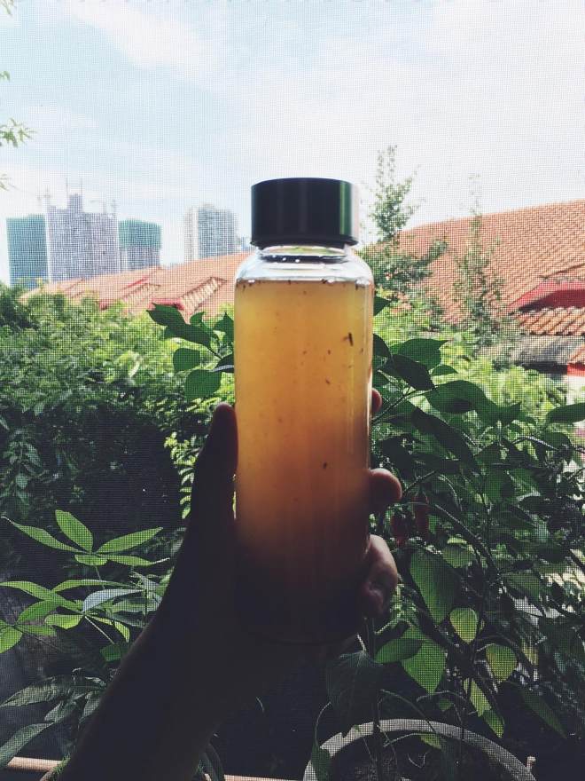 灵芝蜂蜜水