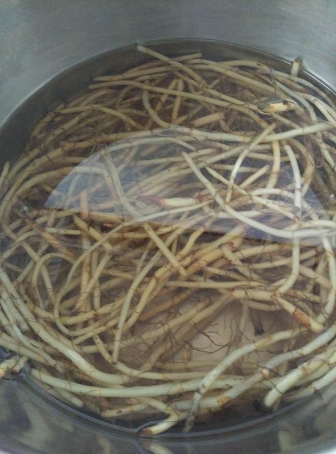 鱼腥草煮水