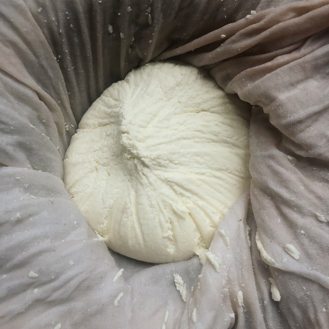 自制乳酪（10块钱出193克乳酪）