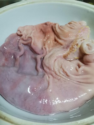 小炒酸辣肚丝（猪肚清洗超干净方法）