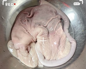 养胃•猪肚汤