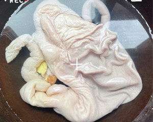 养胃•猪肚汤