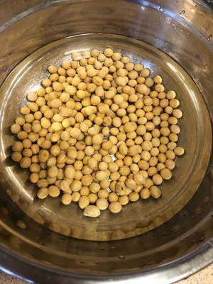 减缓记忆力衰退，改善贫血，健脾胃的猪骨黄豆煲