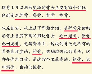 哪个部位的猪骨煲汤最佳