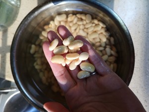 正宗重庆红烧肥肠