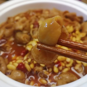 正宗重庆红烧肥肠