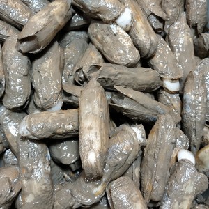 盐焗蛏子(附:洗蛏子的方法)