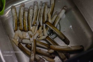 蛏子清洗和清蒸的完美教程