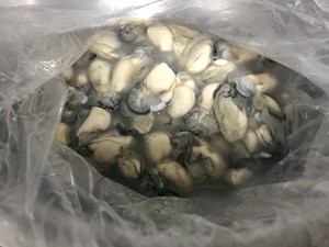 炣海蛎