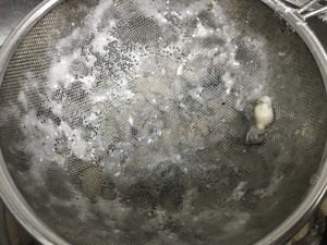 炣海蛎