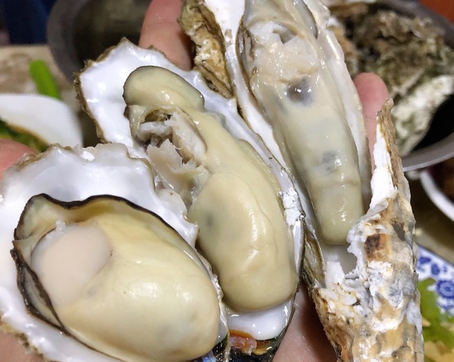 煮牡蛎（海蛎子）家常快手菜 附如何挑选及如何掌握火候！超级鲜肥！