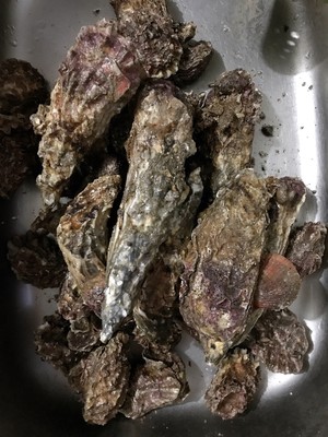 煮牡蛎（海蛎子）家常快手菜 附如何挑选及如何掌握火候！超级鲜肥！
