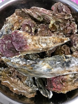 煮牡蛎（海蛎子）家常快手菜 附如何挑选及如何掌握火候！超级鲜肥！