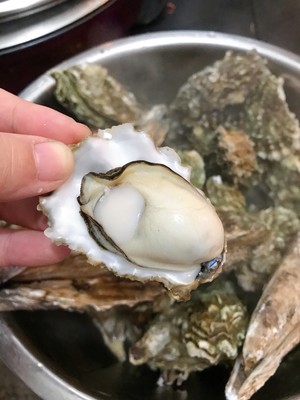 煮牡蛎（海蛎子）家常快手菜 附如何挑选及如何掌握火候！超级鲜肥！