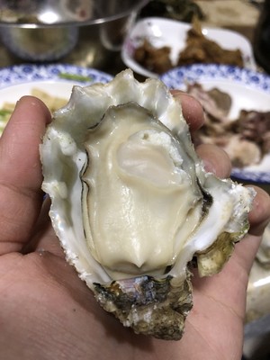 煮牡蛎（海蛎子）家常快手菜 附如何挑选及如何掌握火候！超级鲜肥！