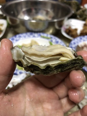 煮牡蛎（海蛎子）家常快手菜 附如何挑选及如何掌握火候！超级鲜肥！