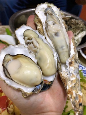 煮牡蛎（海蛎子）家常快手菜 附如何挑选及如何掌握火候！超级鲜肥！