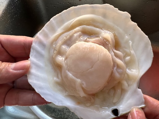 如何清理扇贝