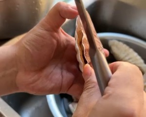 如何清理扇贝