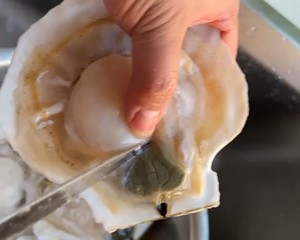 如何清理扇贝