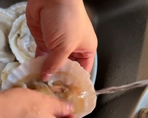 如何清理扇贝
