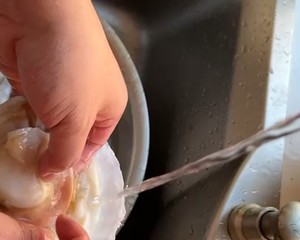如何清理扇贝