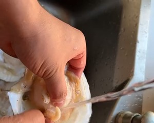 如何清理扇贝