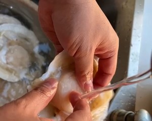如何清理扇贝