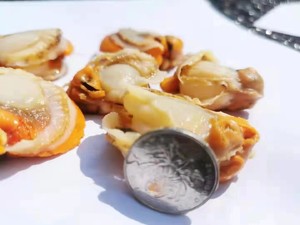 冷冻扇贝肉的清理方法