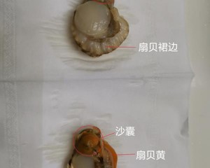 冷冻扇贝肉的清理方法