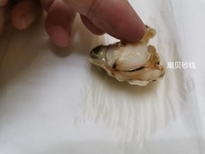 冷冻扇贝肉的清理方法