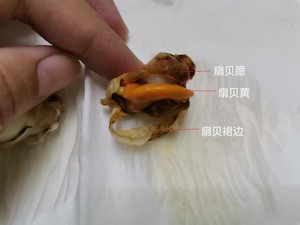 冷冻扇贝肉的清理方法