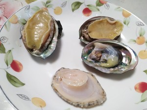 清蒸鲍鱼