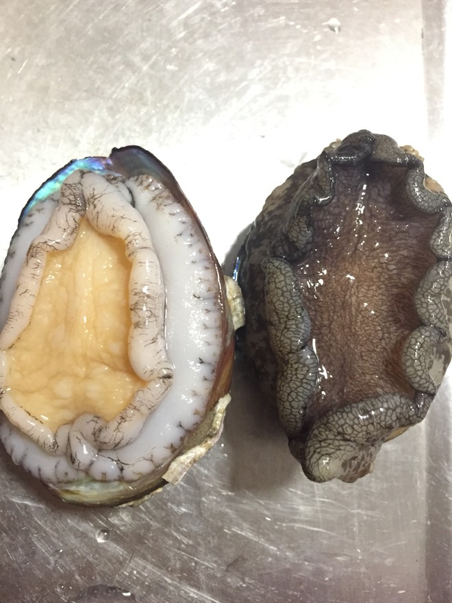 洗鲍鱼