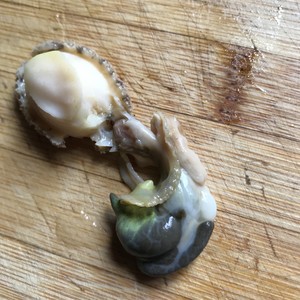 鲍鱼的处理步骤
