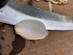 葱油鲍鱼片