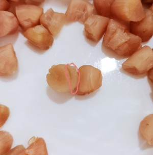 泡发干贝好简单