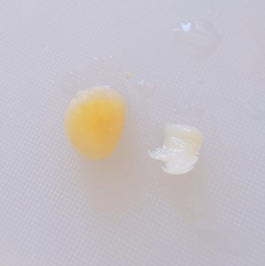 泡发干贝好简单