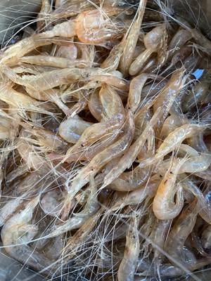 最好吃的白虾海米