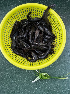 5分钟搞定白灼草虾